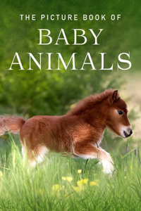 The Picture Book of Baby Animals