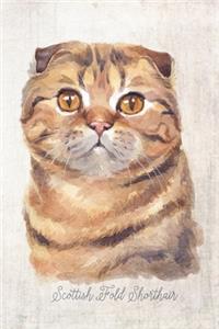 Scottish Fold Shorthair Cat Portrait Notebook