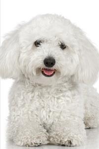 2020 Weekly Planner White Poodle Dog Photo 134 Pages