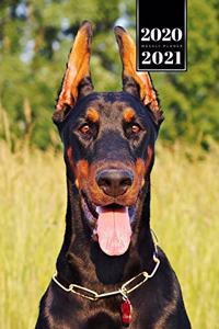 Doberman Dog Calendar Week Planner 2020 / 2021 - Ears Set