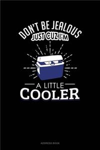 Don't Be Jealous Just Cuz I'm A Little Cooler