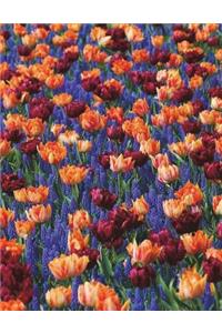 Flower Hyacinths Tulips Notebook / Journal / Diary / Composition Book Large Size