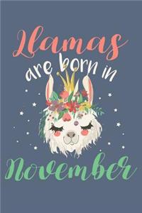 Llamas Are Born in November