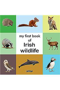 My First Book of Irish Wildlife
