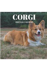 Corgi 2019 Wall Calendar