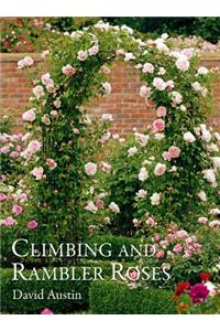 Climbing and Rambler Roses