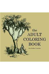 Adult Coloring Book