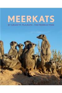 Meerkats