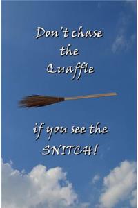 Don't Chase the Quaffle if you see the SNITCH!