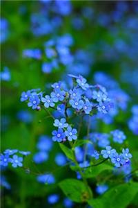 Stunning Field of Forget Me Not Flowers Journal