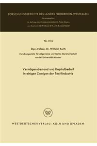 Vermögensbestand Und Kapitalbedarf in Einigen Zweigen Der Textilindustrie