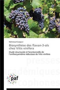 Biosynthèse Des Flavan-3-Ols Chez Vitis Vinifera