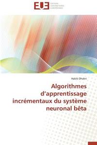 Algorithmes D Apprentissage Incrémentaux Du Système Neuronal Bèta