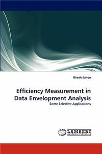 Efficiency Measurement in Data Envelopment Analysis