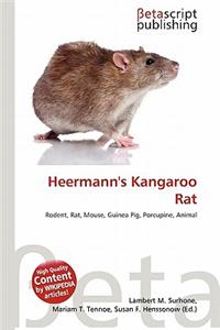 Heermann's Kangaroo Rat
