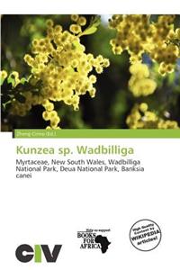 Kunzea Sp. Wadbilliga