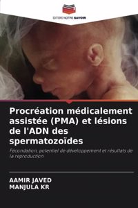 Procréation médicalement assistée (PMA) et lésions de l'ADN des spermatozoïdes