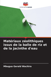 Matériaux zéolithiques issus de la balle de riz et de la jacinthe d'eau