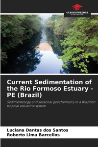 Current Sedimentation of the Rio Formoso Estuary - PE (Brazil)