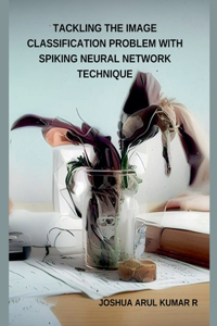 Tackling the Image Classification Problem with Spiking Neural Network Technique