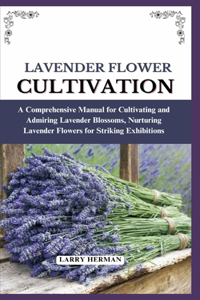 Lavender Flower Cultivation