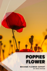 Poppies flower