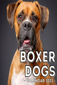 Boxer Dogs Calendar 2021