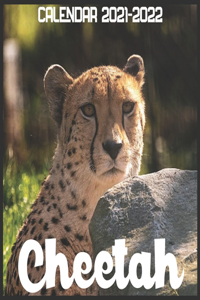 Cheetah Calendar 2021-2022