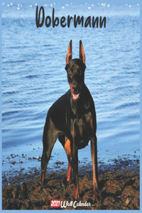 Dobermann 2021 Wall Calendar
