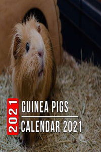 Guinea Pigs Calendar 2021