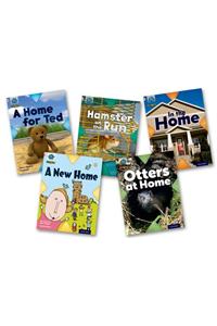 Project X Origins: Pink Book Band, Oxford Level 1+: My Home: Mixed Pack of 5