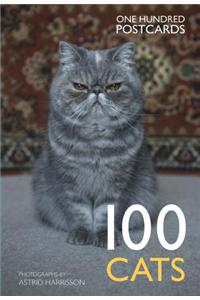 100 Cats in a Box: One Hundred Postcards