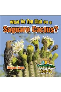 What Do You Find on a Saguaro Cactus?