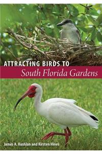 Attracting Birds to South Florida Gardens