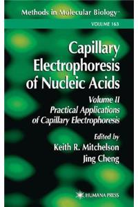 Capillary Electrophoresis of Nucleic Acids