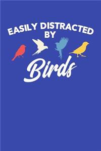 Easily Distracted by Birds