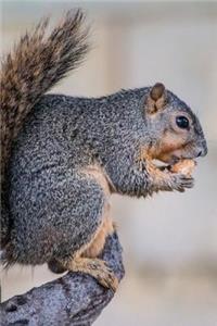Hello, Little Squirrel in a Tree Journal