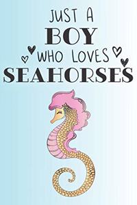 Just A Boy Who Loves Seahorses