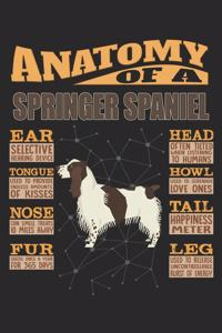 Anatomy Of A Springer Spaniel
