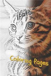 Cats: Beautiful Coloring Pages with Cats, Drawings, for Adults and for Girls