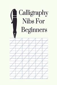 Calligraphy Nibs for Beginners