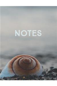 Notes Seashell Dot Grid Journal