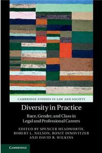 Diversity in Practice: Race, Gender, and Class in Legal and Professional Careers