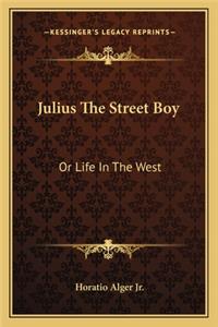Julius the Street Boy: Or Life in the West
