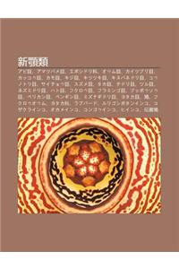 X N E Lei: ABI Mu, Amatsubame Mu, Eboshidori K, Oumu Mu, Kaitsuburi Mu, Kakkou Mu, Kamo Mu, Kiji Mu, Kitsutsuki Mu, Kinubanedori