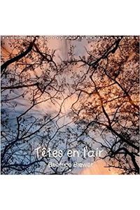 Tetes En L'air 2018