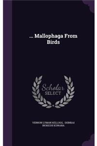 ... Mallophaga From Birds