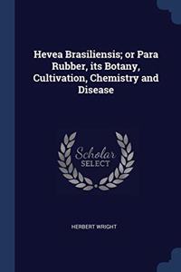 HEVEA BRASILIENSIS; OR PARA RUBBER, ITS