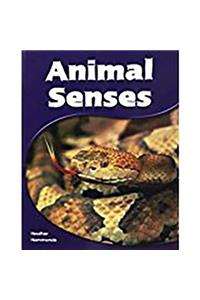 Animal Senses