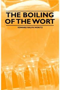 Boiling of the Wort